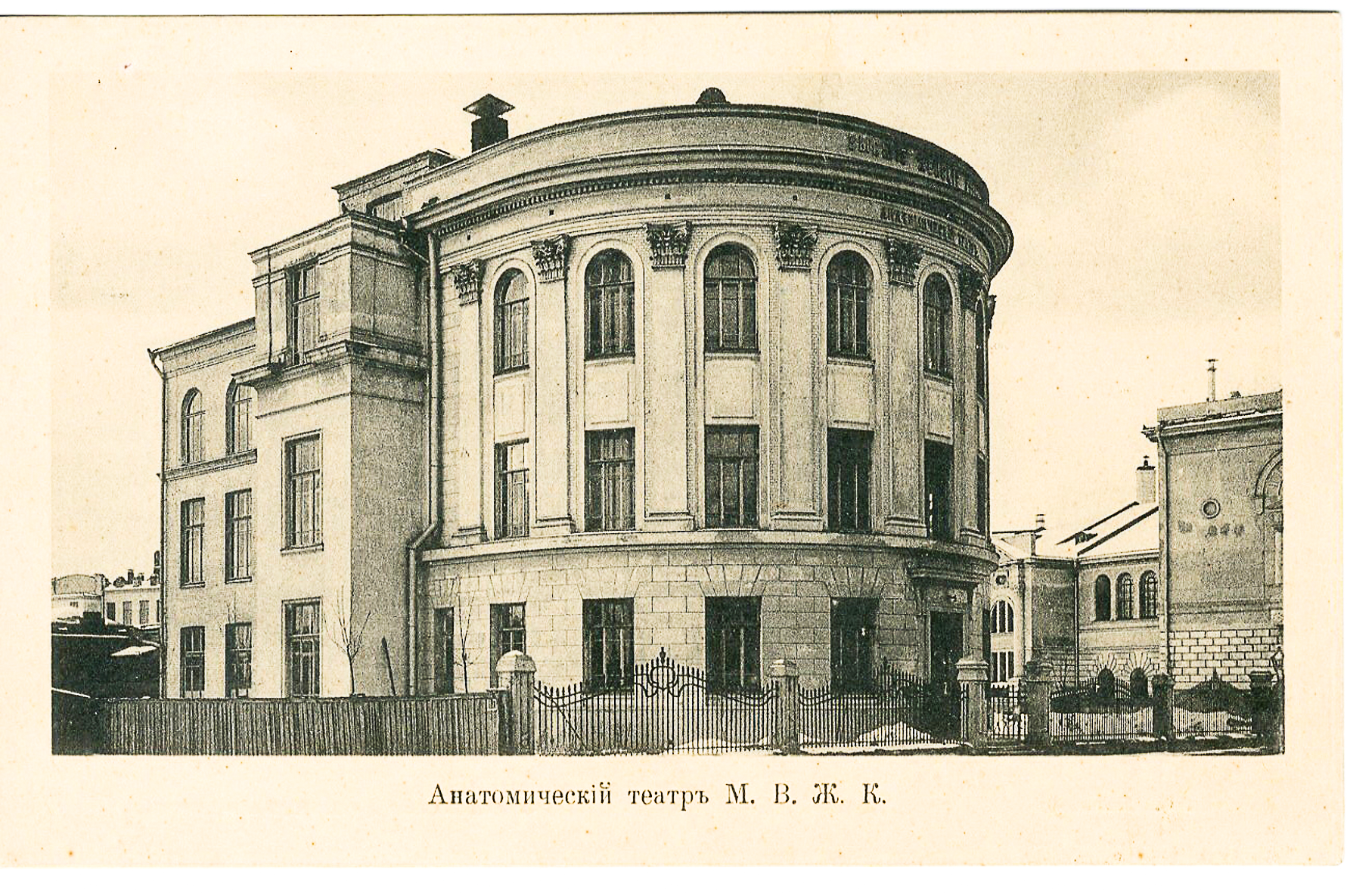 анатомический.png