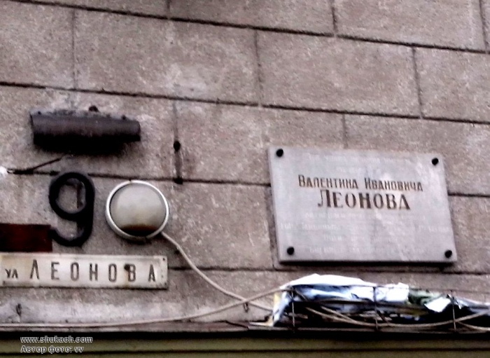 4. Улица Леонова в Запорожье.jpg