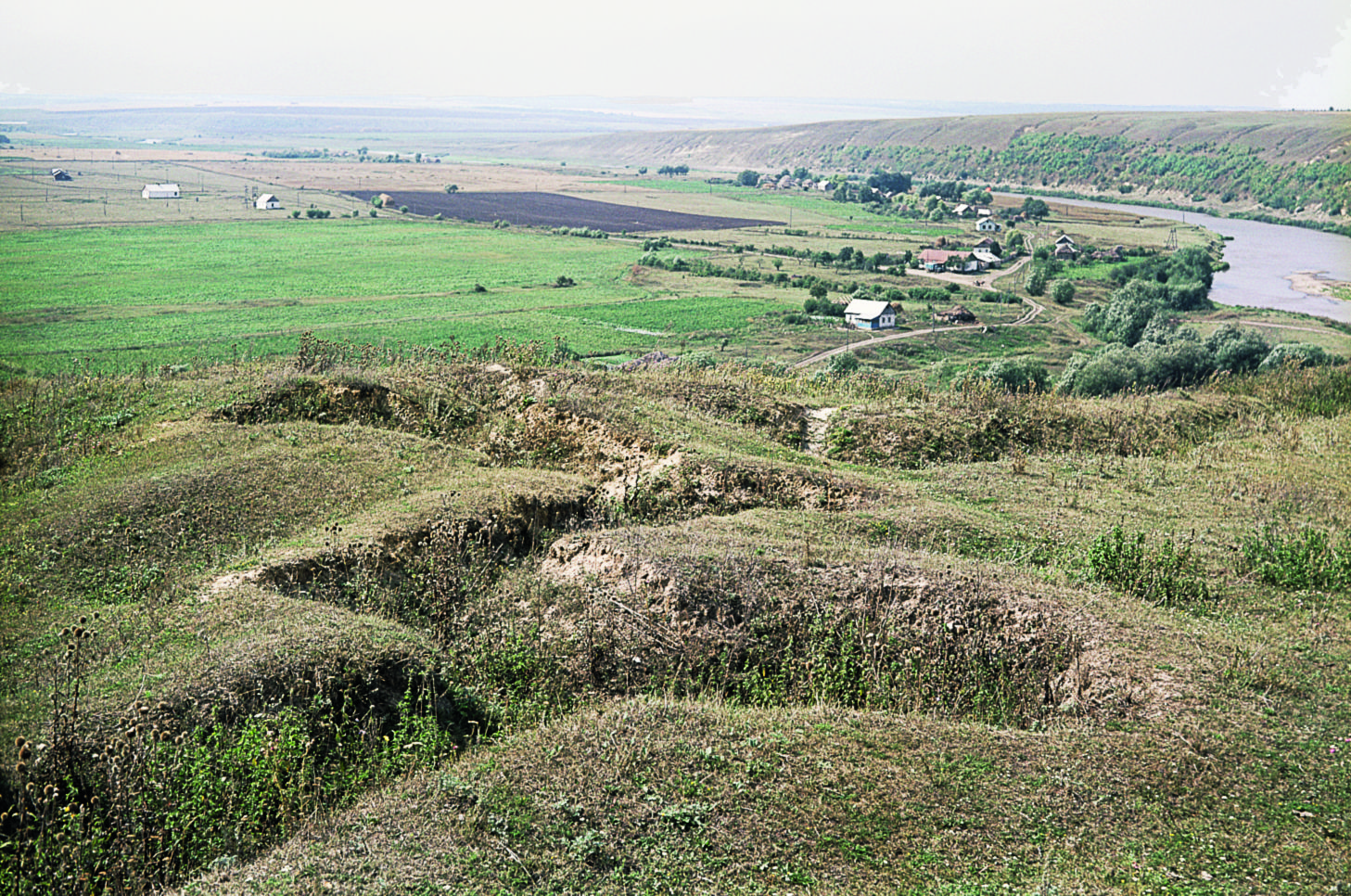 RIA_2993354.HR.jpg