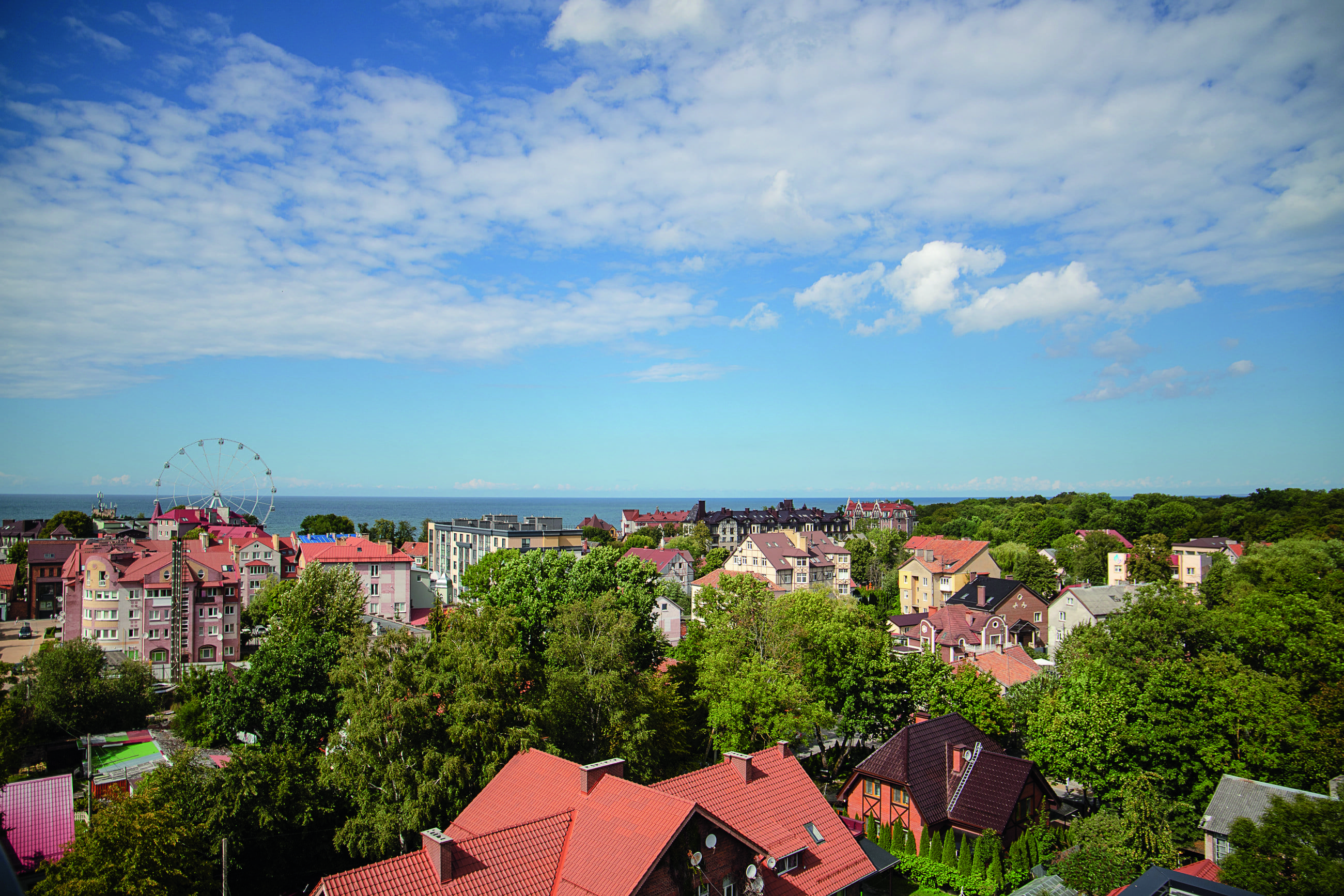 _MG_0388_1.png