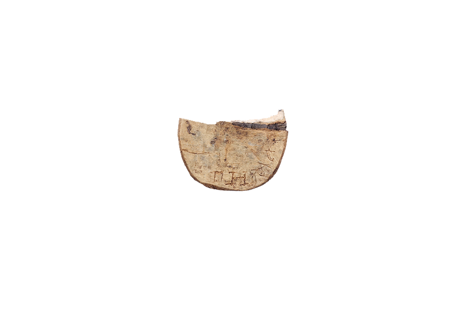 вологда 1.png